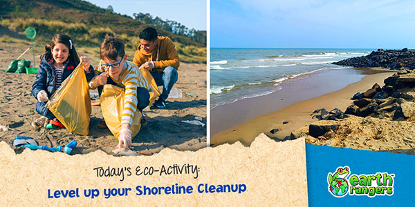 Level up your Shoreline Cleanup