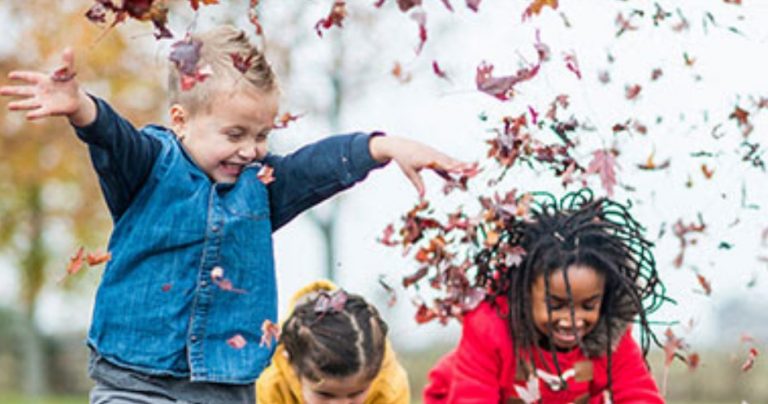 Eco-Activity: Fall fun architect