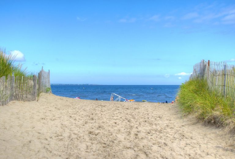 Keeping it Eco at the Beach