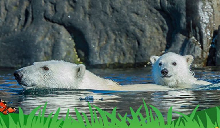 Eco-Activity: Chillin’ in July