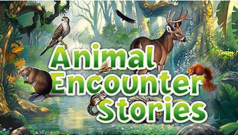 Eco-Activity: WIN with the Earth Rangers Podcast!