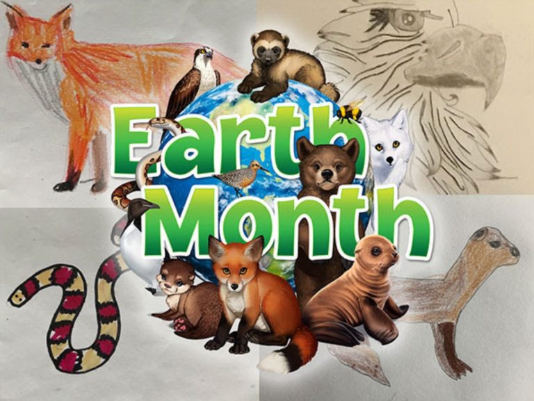 Eco-Activity: Earth Month animal art!