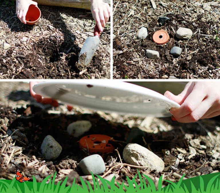 Eco-activity: Bee’s knees bumblebee nest