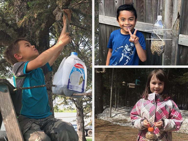 Eco-Activity: For the Birds!