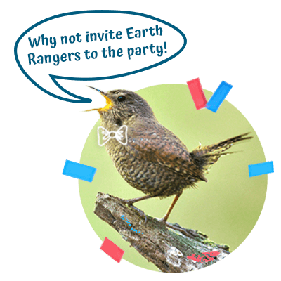 Bird Graphic-Echoage-Website (1)