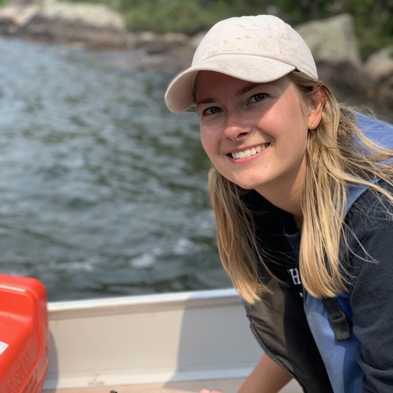 Project Update: Mallard