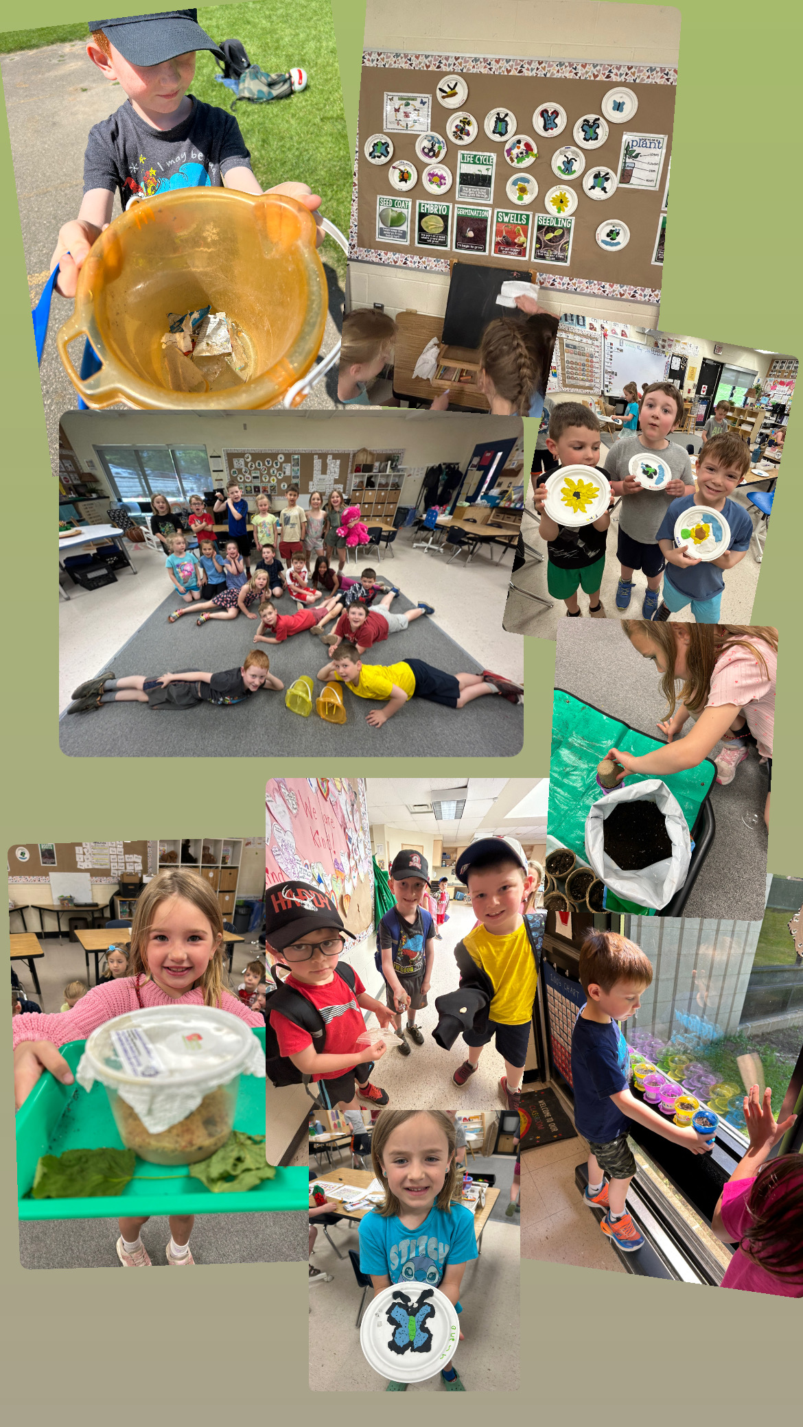 Christine Sellar's Grade SK/1 class