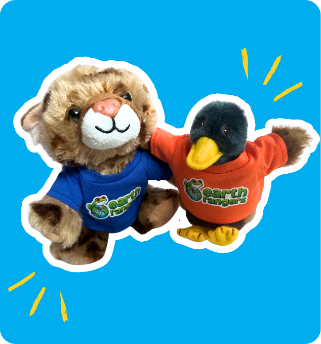 Help Your Child to Bring Back the Wild!