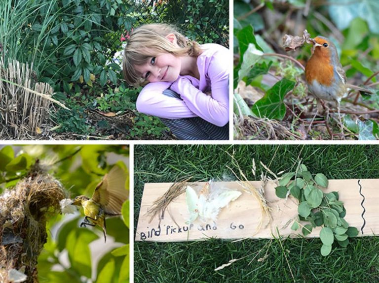 Eco Activity: Build a bird nest supply shop!