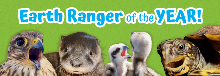 VOTE For The Earth Ranger of The Year - Earth Rangers
