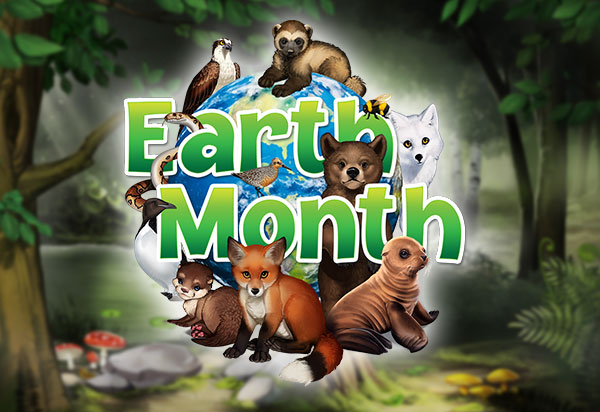 5 Ways to Protect Animals This Earth Month