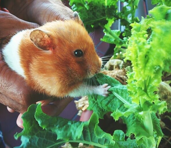 Food Going Bad? Not on Our Watch!