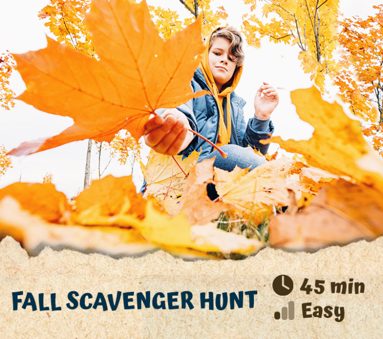 Fall Scavenger Hunt