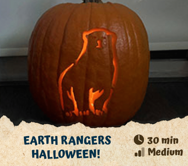 It’s an Earth Rangers Halloween!