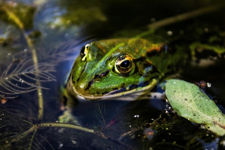 Keep Our Rivers Clean!