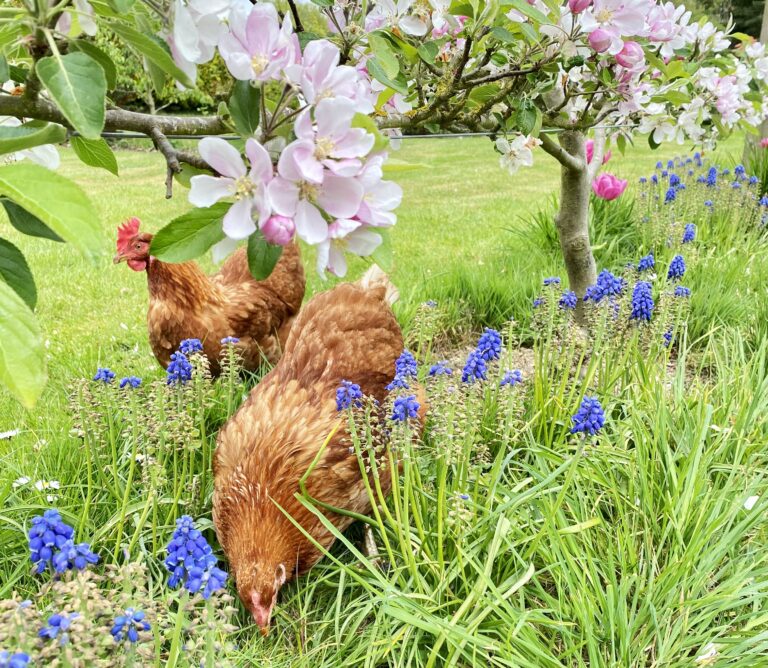 Could YOU be a Future Farmer?