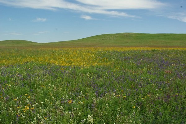 Grasslands National Park
