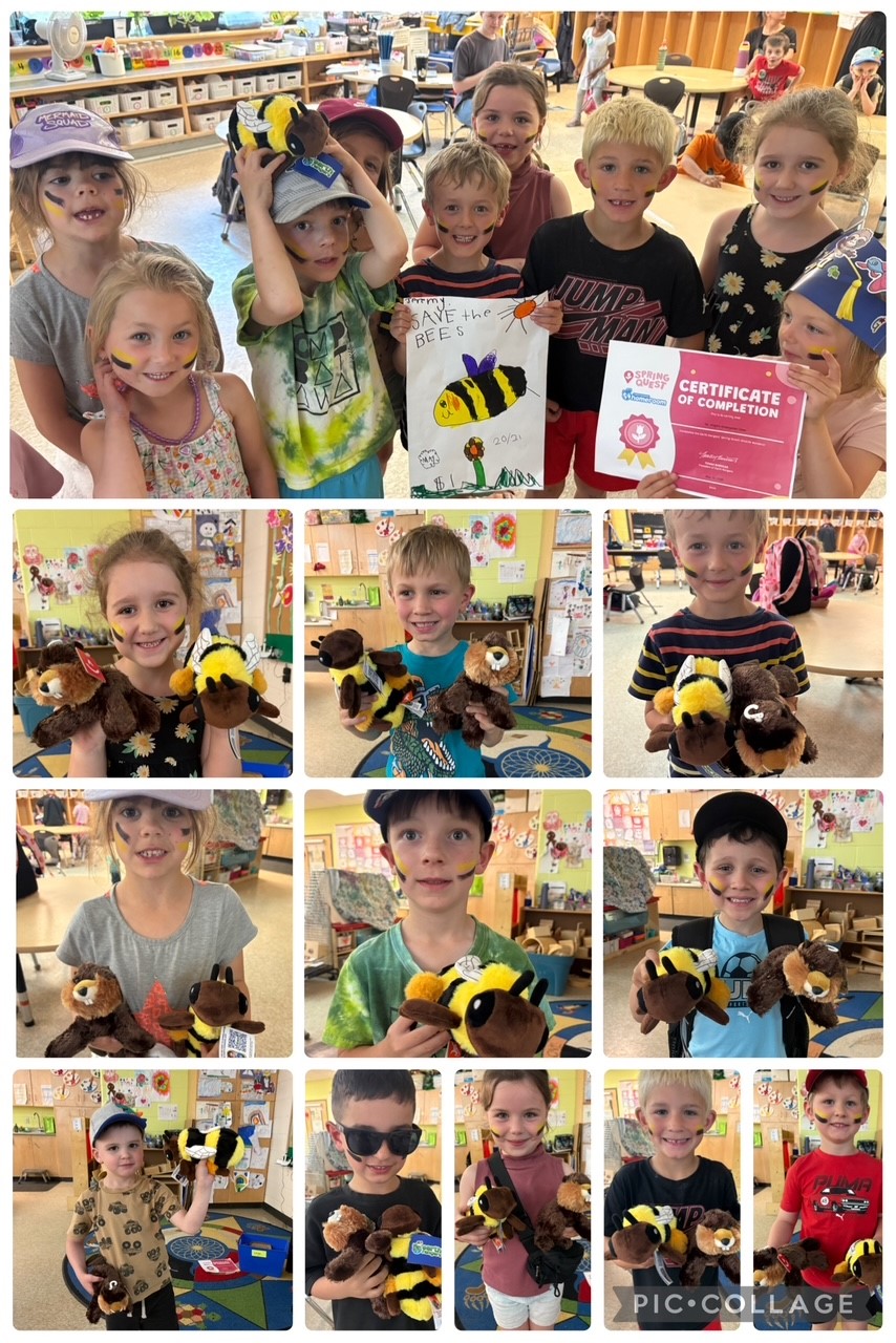 Jen Wright's Kindergarten class with their bees