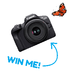 Canon Rebel R100 prize