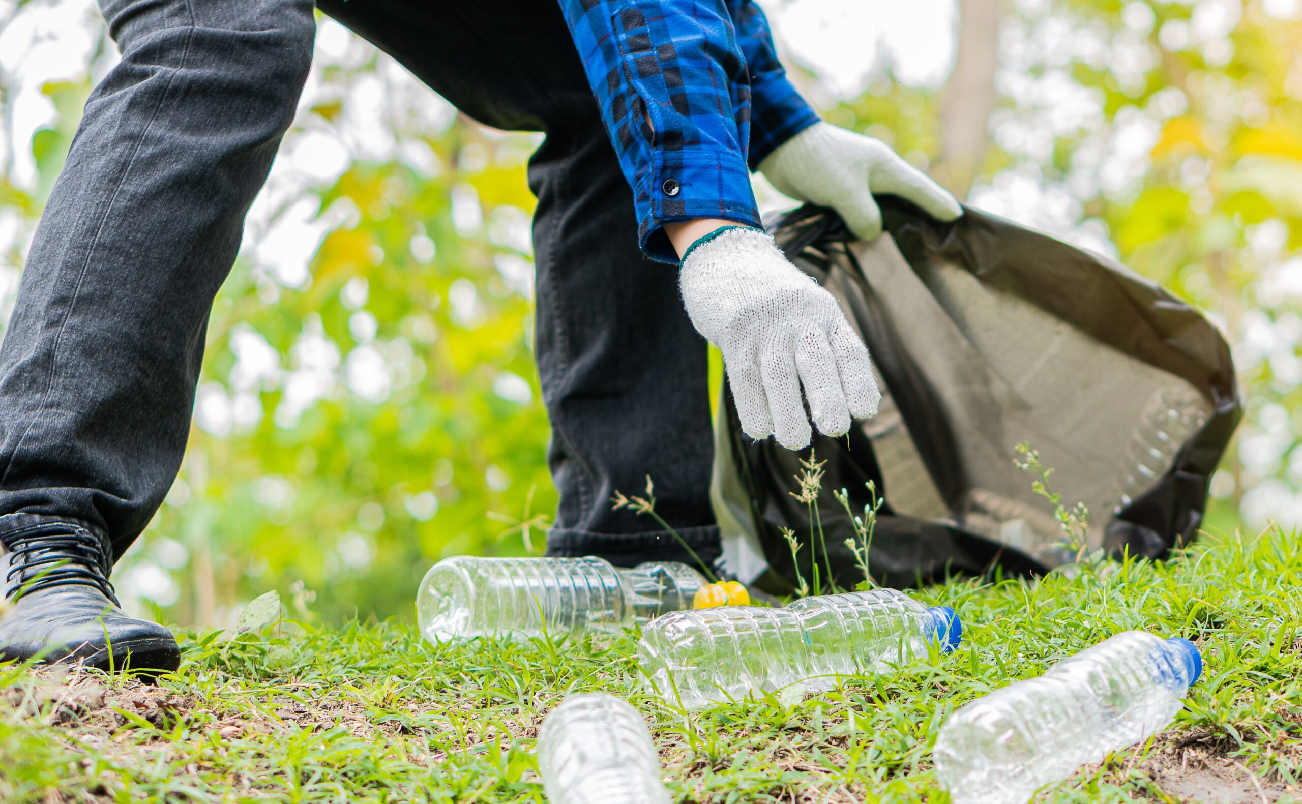 Lead a Litter Cleanup