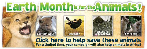Earth Month is for the Animals