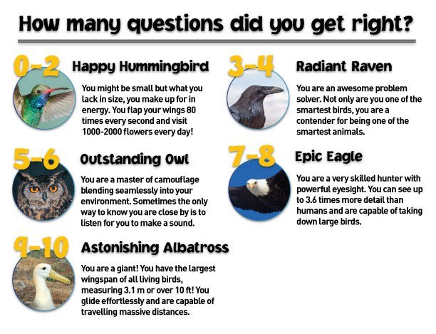 Quiz_ScoreBirds_ForWeb