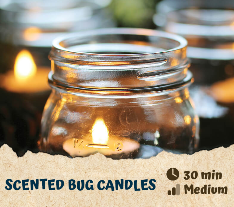 Scented Bug Candles