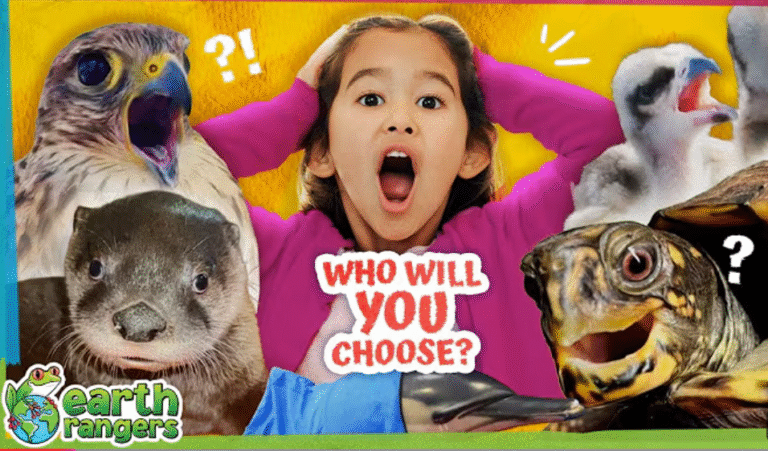 Incredible Animal Stories But Which One Is Your Fave? 