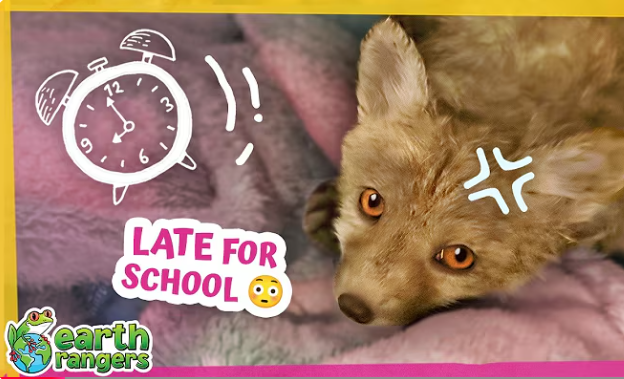 These Baby Foxes Are Going to Fox School