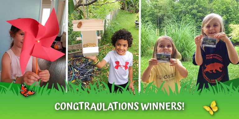 Announcing our #SummerEcoActivity Winners!!