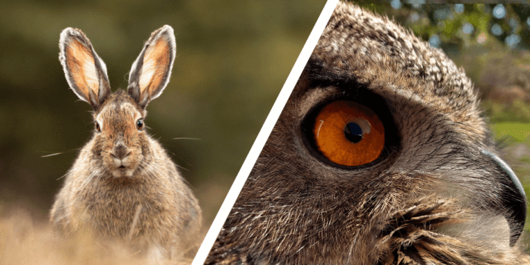 Would you Rather #97