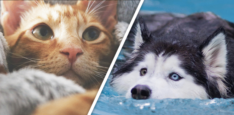 Would you Rather #95