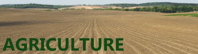 agriculture