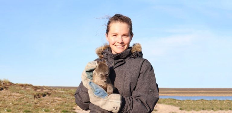 Ask an Expert: Arctic Fox Researcher