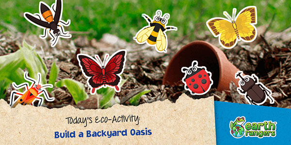 Build a Backyard Oasis