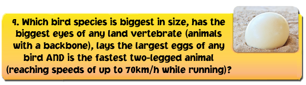 biggestbirds-1