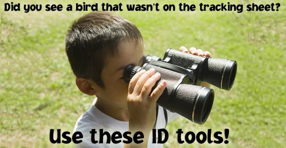 bird_tools