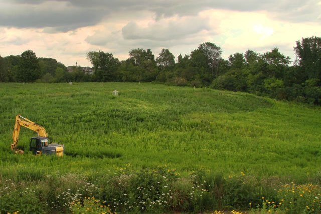 building wetland