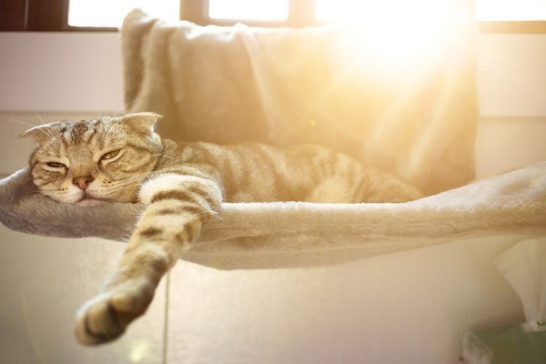 The Power of the Sun