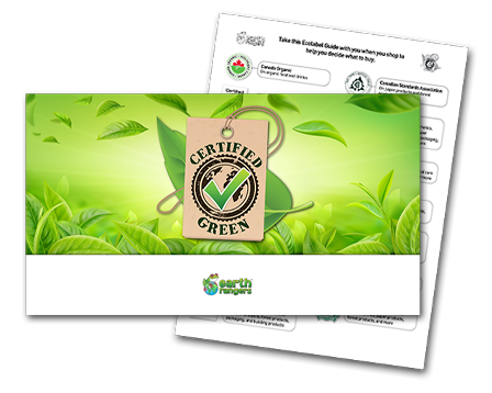certified-green-brief-ecolabel-guide-preview1