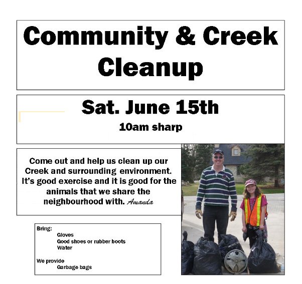 community_clean_up