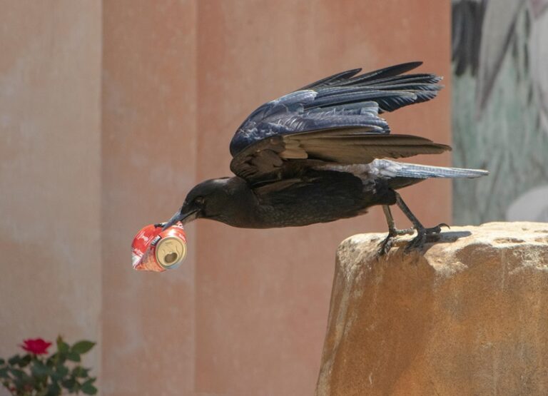 Get Busy Stashing that Trash!
