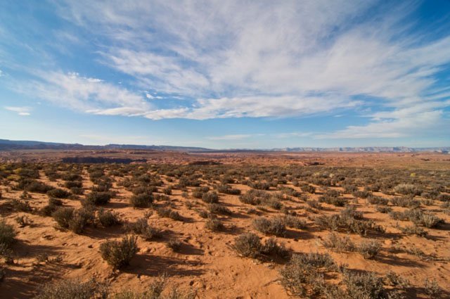 desert biome