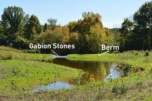 Earth Rangers Wetland