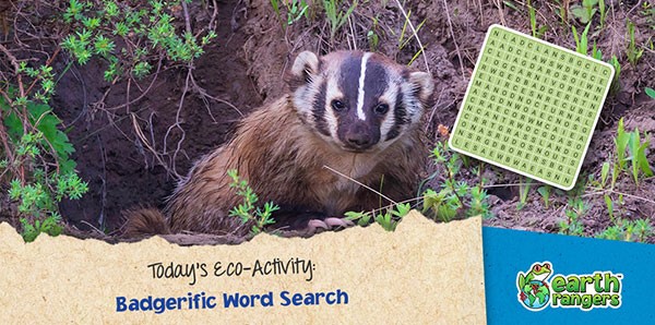Badgerific Word Search