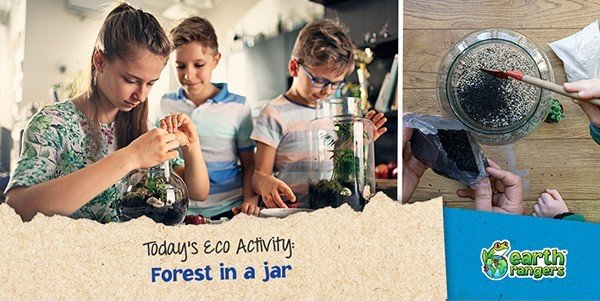 Eco-Activity: Forest In a Jar