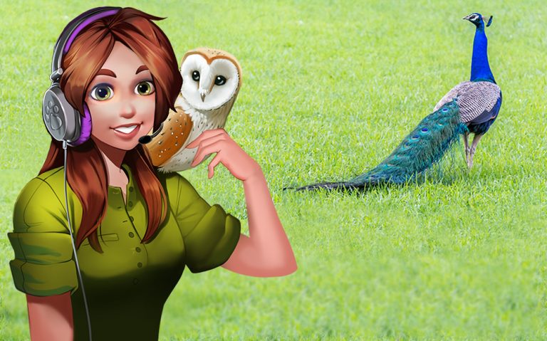 Podcast: The Peacock Monkey Situation and other Animal Encounters