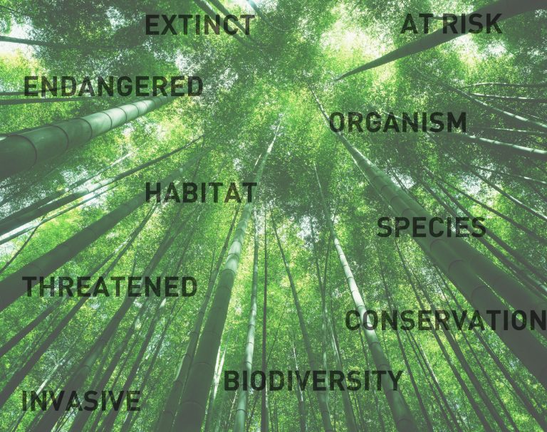 Environmental Glossary