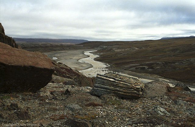 greenland jerzy strzelecki