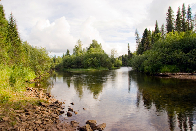 View of a lake in a wetland with trees in the background and a rocky shore.